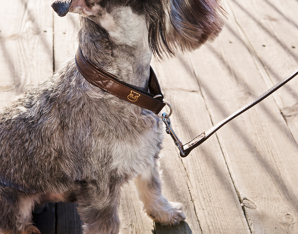 GE 210520, GE 210525, GE 210527, GE 210530, GE2105