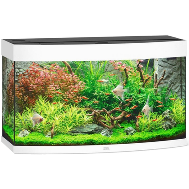Juwel - Vision 260 Hvit akvarium - Akvaristikk - Akvarium & møbler - Akvarium - ZOO.no