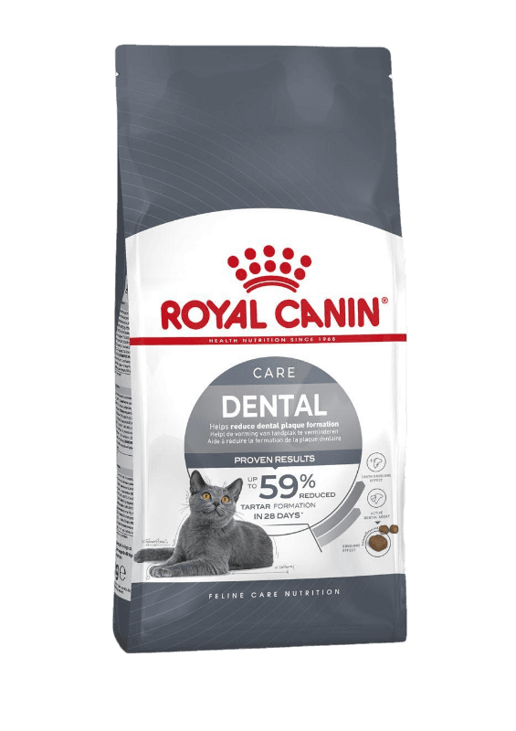 Dental Care Adult Torrfoder för katt 3,5 kg - Katt - Kattfoder & kattmat - Torrfoder till katt - Royal Canin - ZOO.se