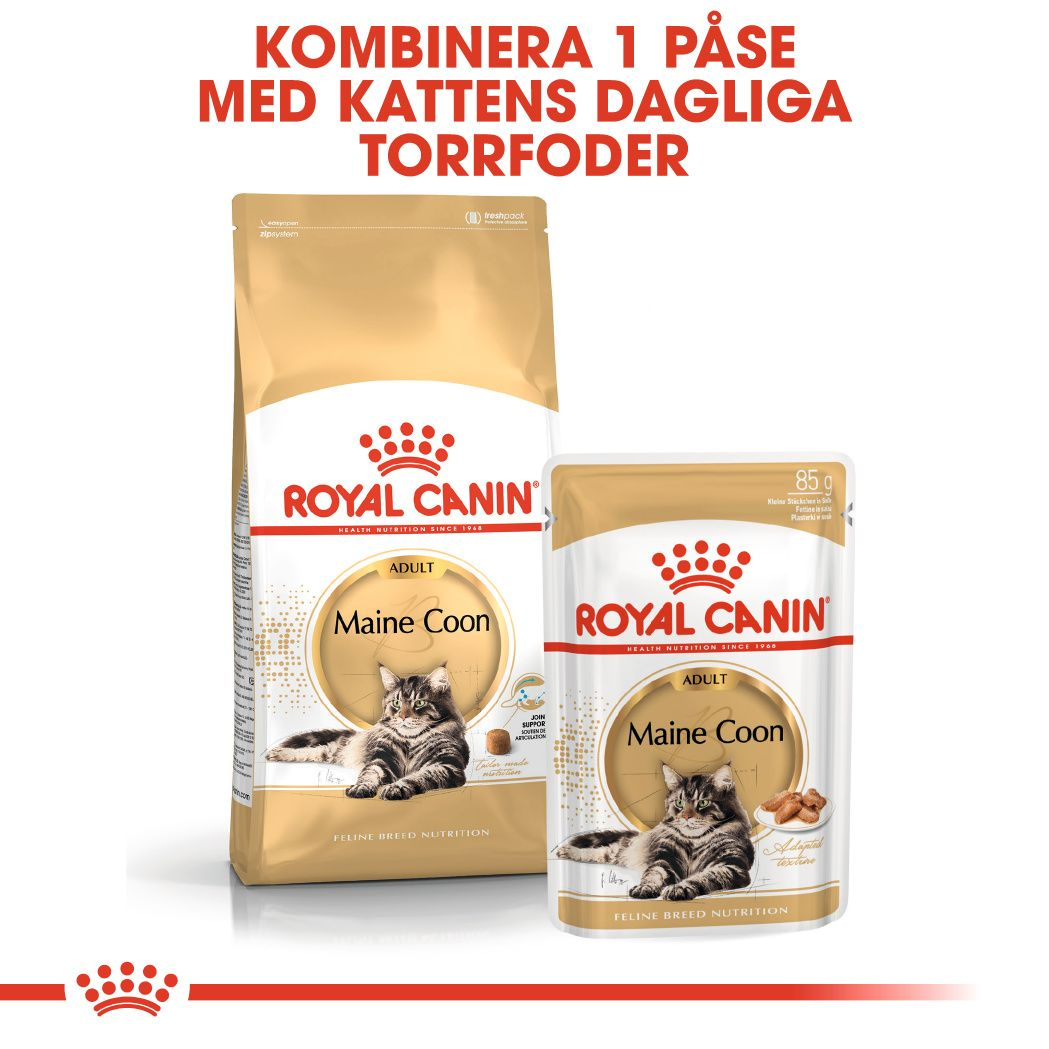 Royal Canin Maine Coon Adult Tørrfôr til katt | Tinybuddy