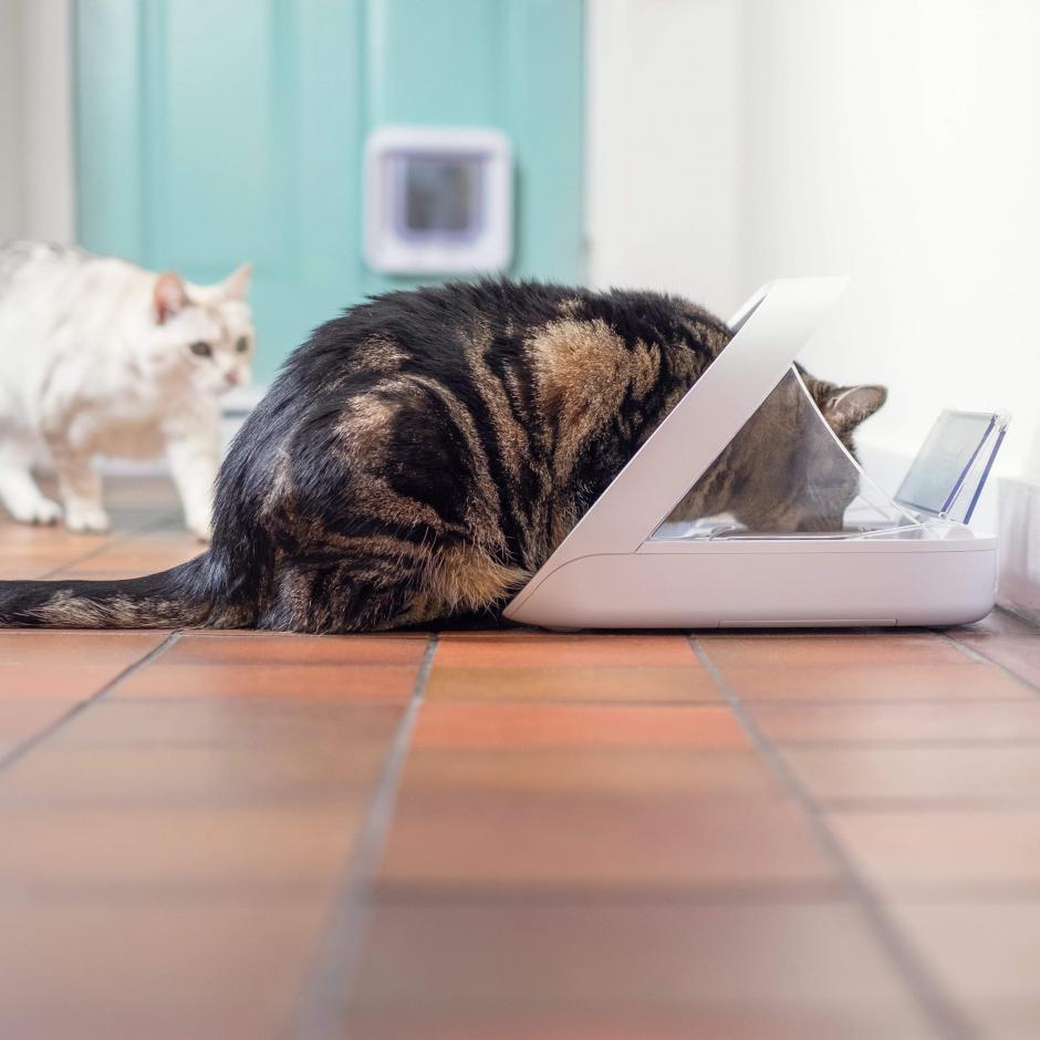 SureFeed Connect Foderautomat med Mikrochip miljöb