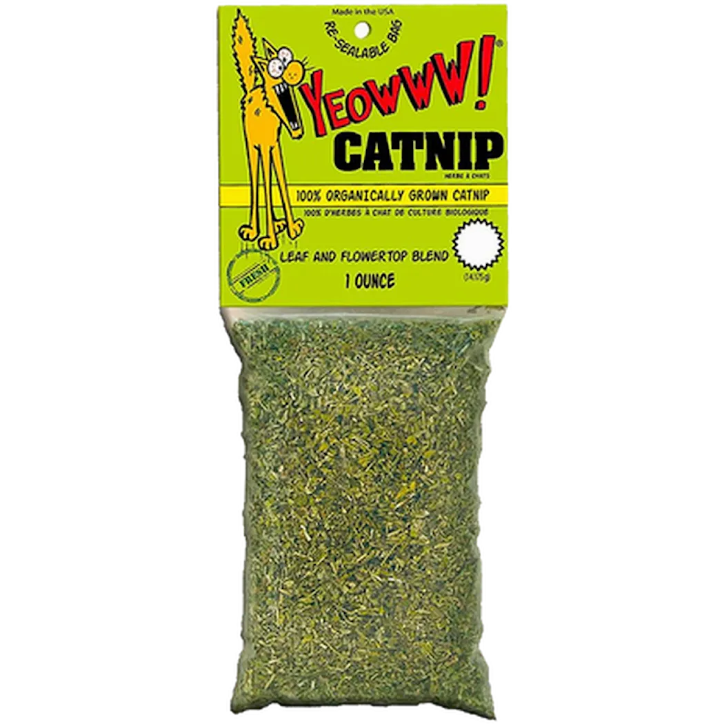 Catnip Organic Catnip Mini 4g