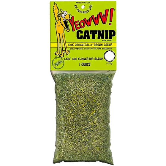 Catnip Organic Catnip Mini Green 4 g