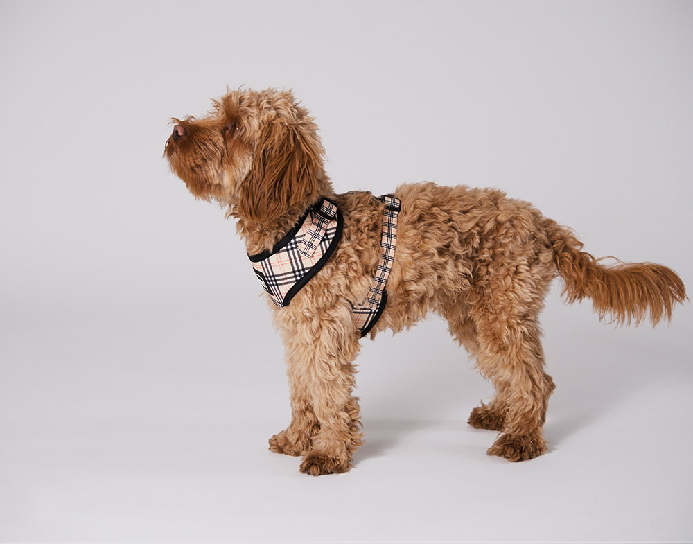 20632, 20633, 20634, 20635.png