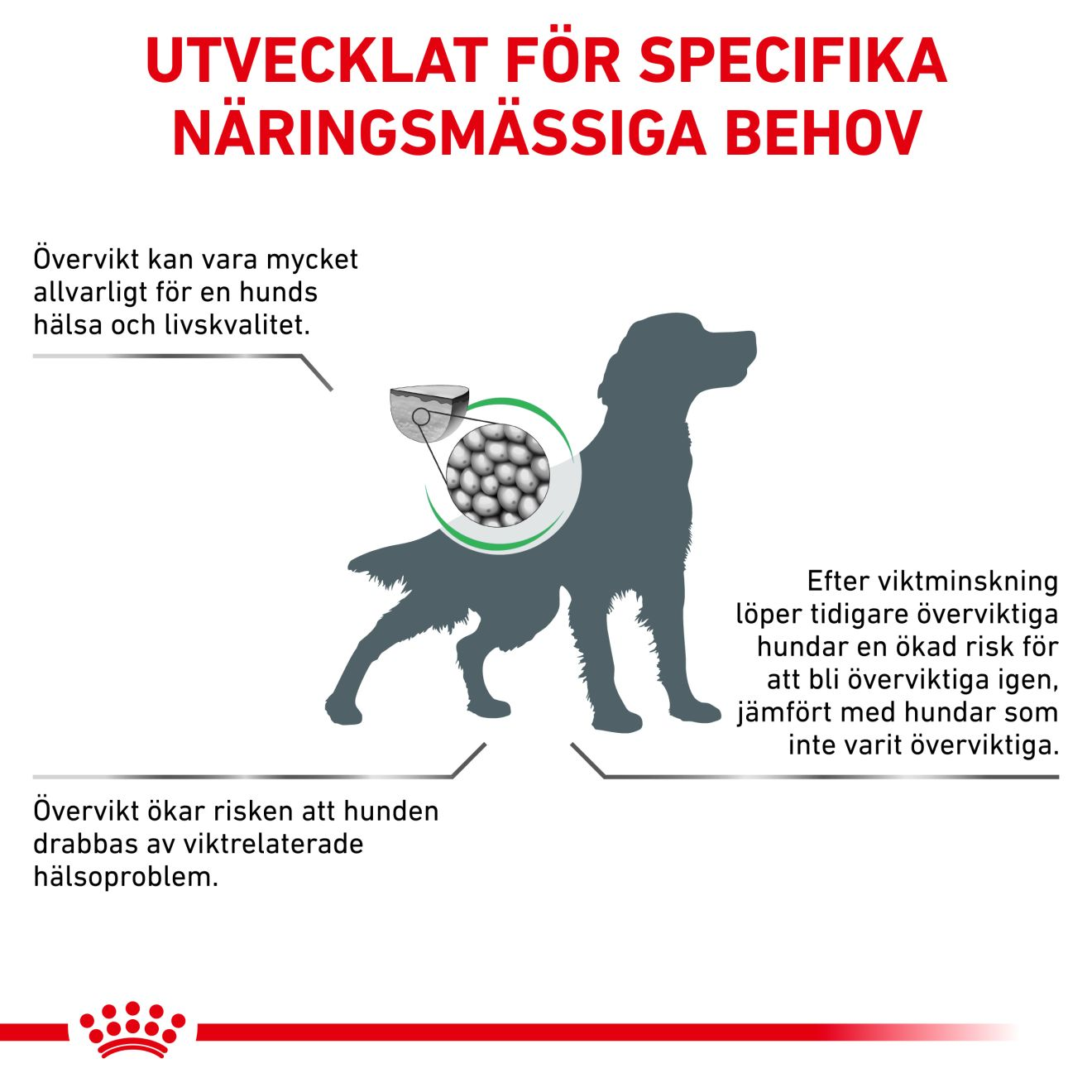 Weight Management Satiety