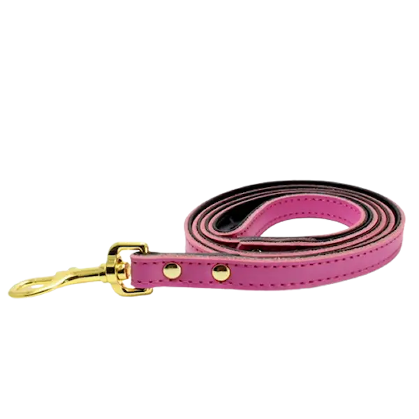 Colorful Leash Pink