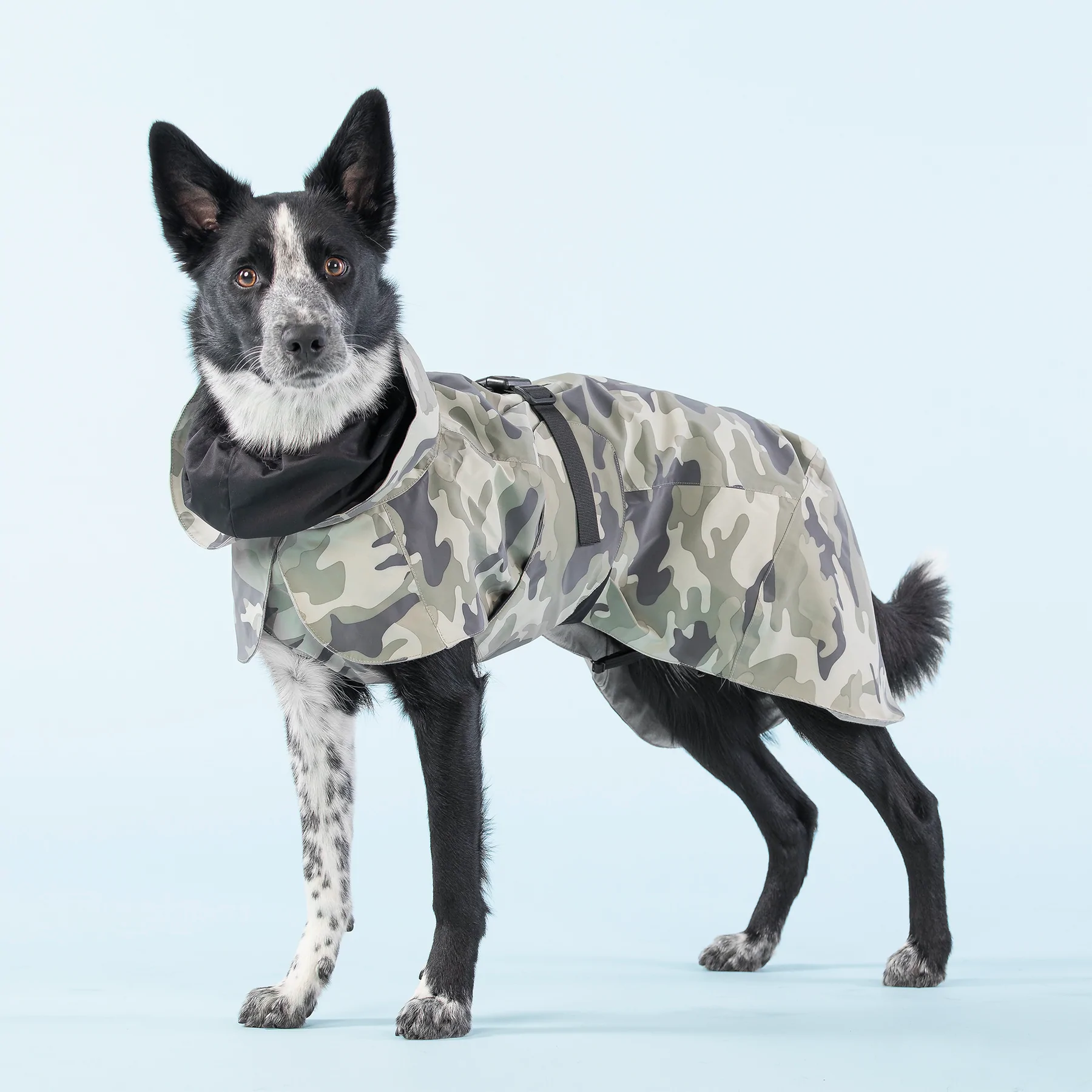 paikka_pet_dog_recovery_raincoat_camo_004.png