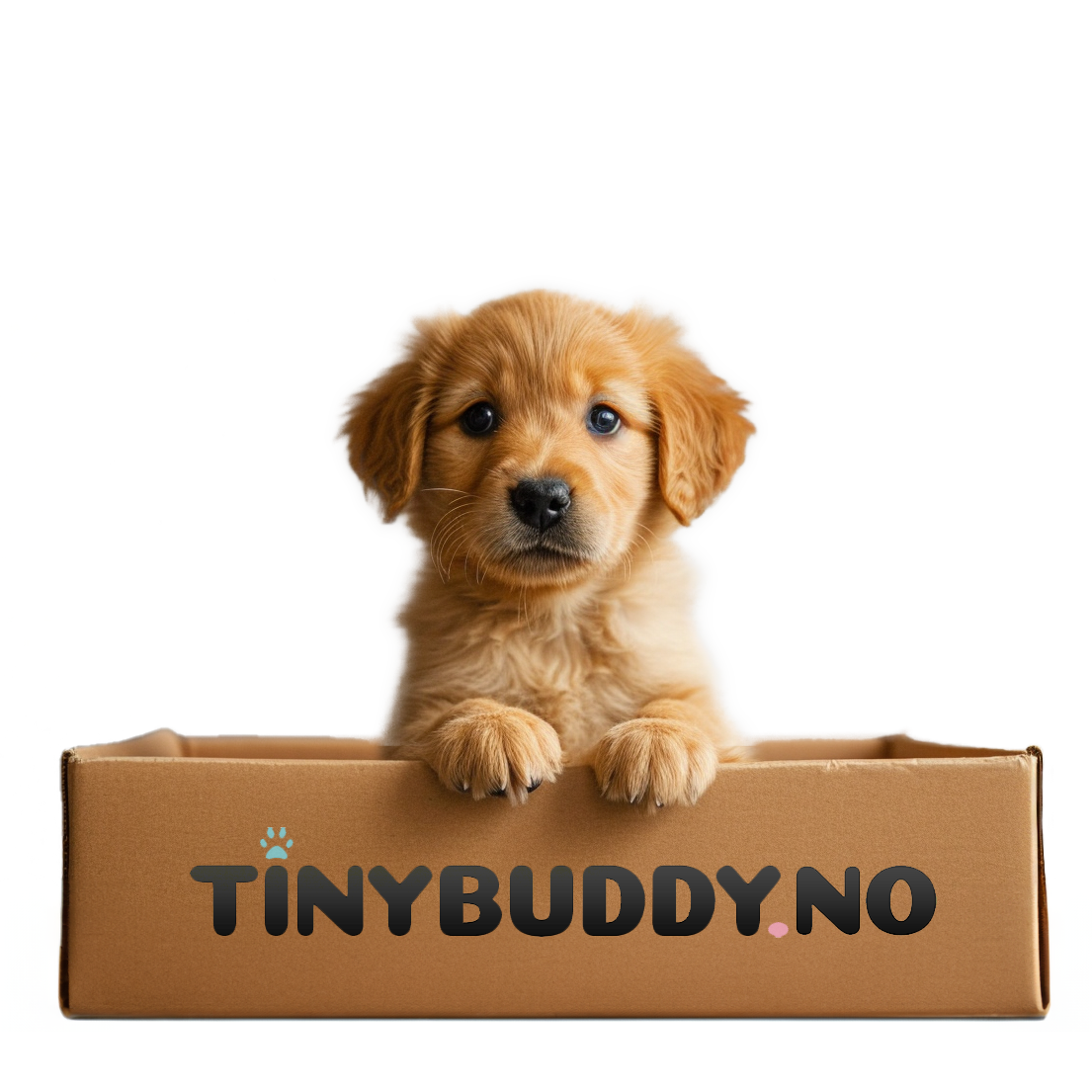 Tinybuddy Håndteringsavgift Tinybuddy.no