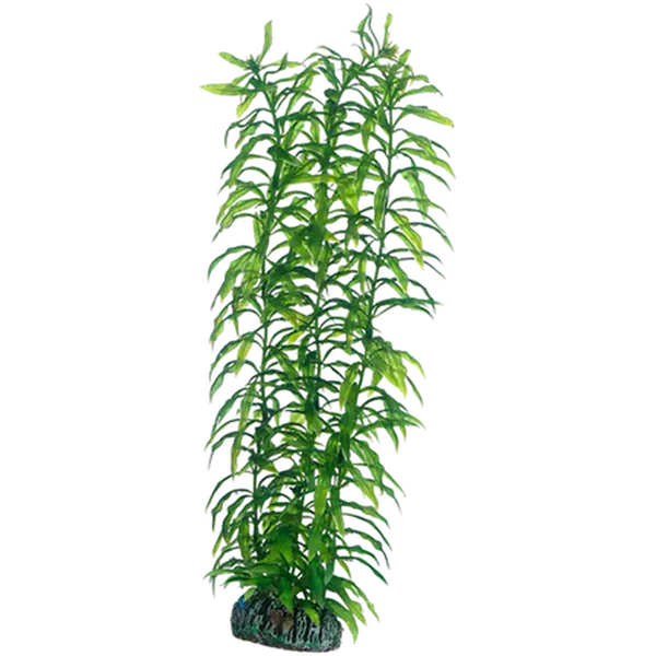 Plastväxt Heteranthera 34cm
