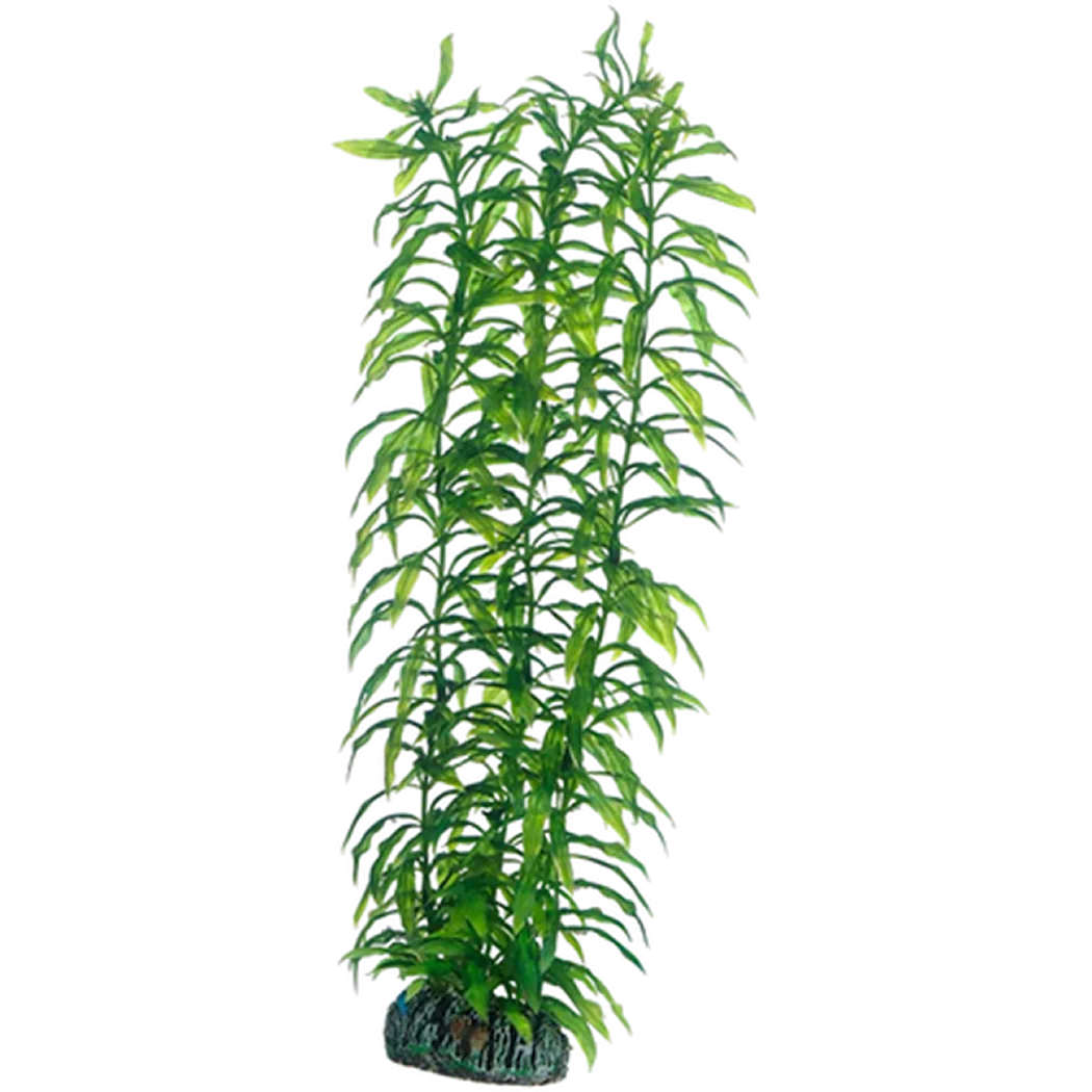 Hobby Plastplante Heteranthera 34cm