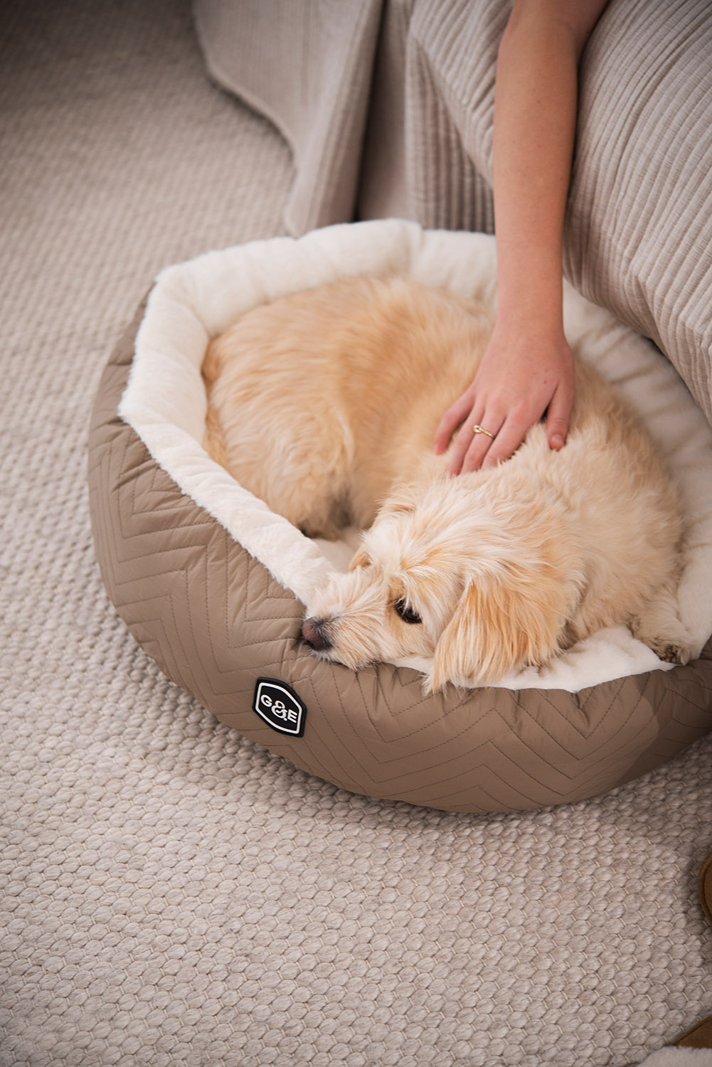 300011004, 300011005 (5).jpg