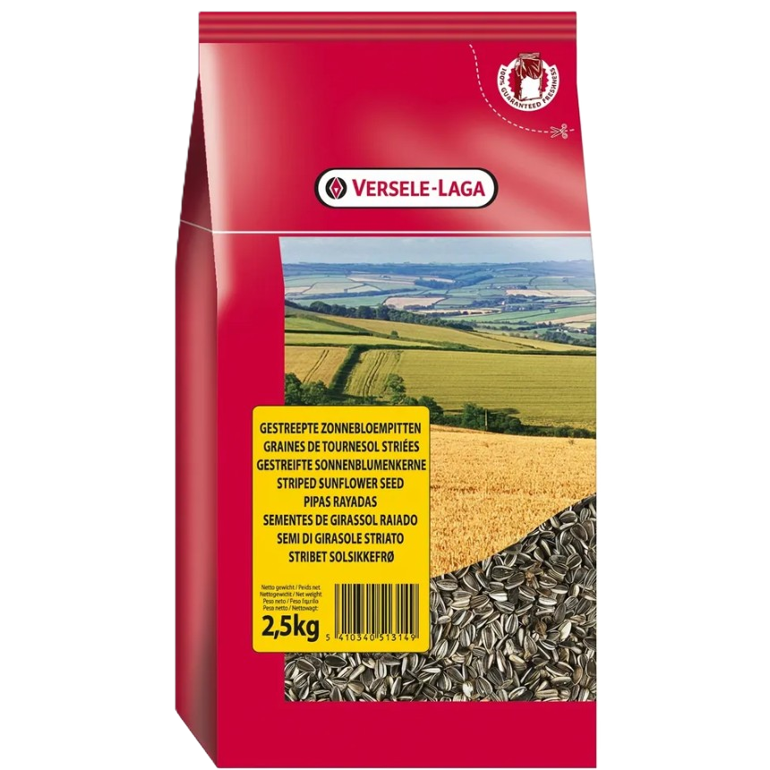 Striped Sunflower Seed (Solrosfrö) 2,5 kg