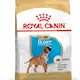 Royal Canin Boxer Puppy Torrfoder för hundvalp 12 kg