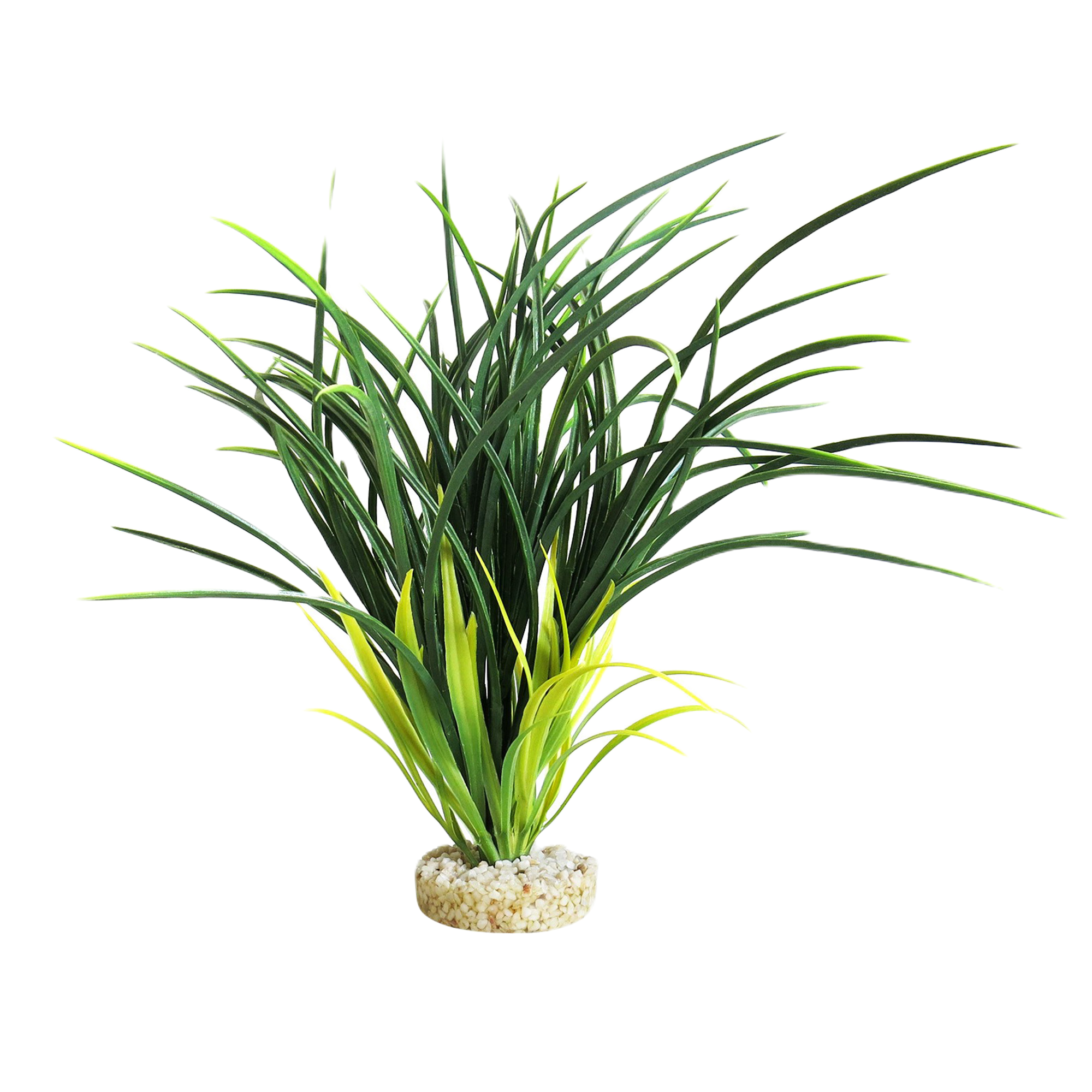 Sydeco - Plastväxt Bioaqua Acorus 29 cm - Akvaristik - Akvarieinredning - ZOO.se