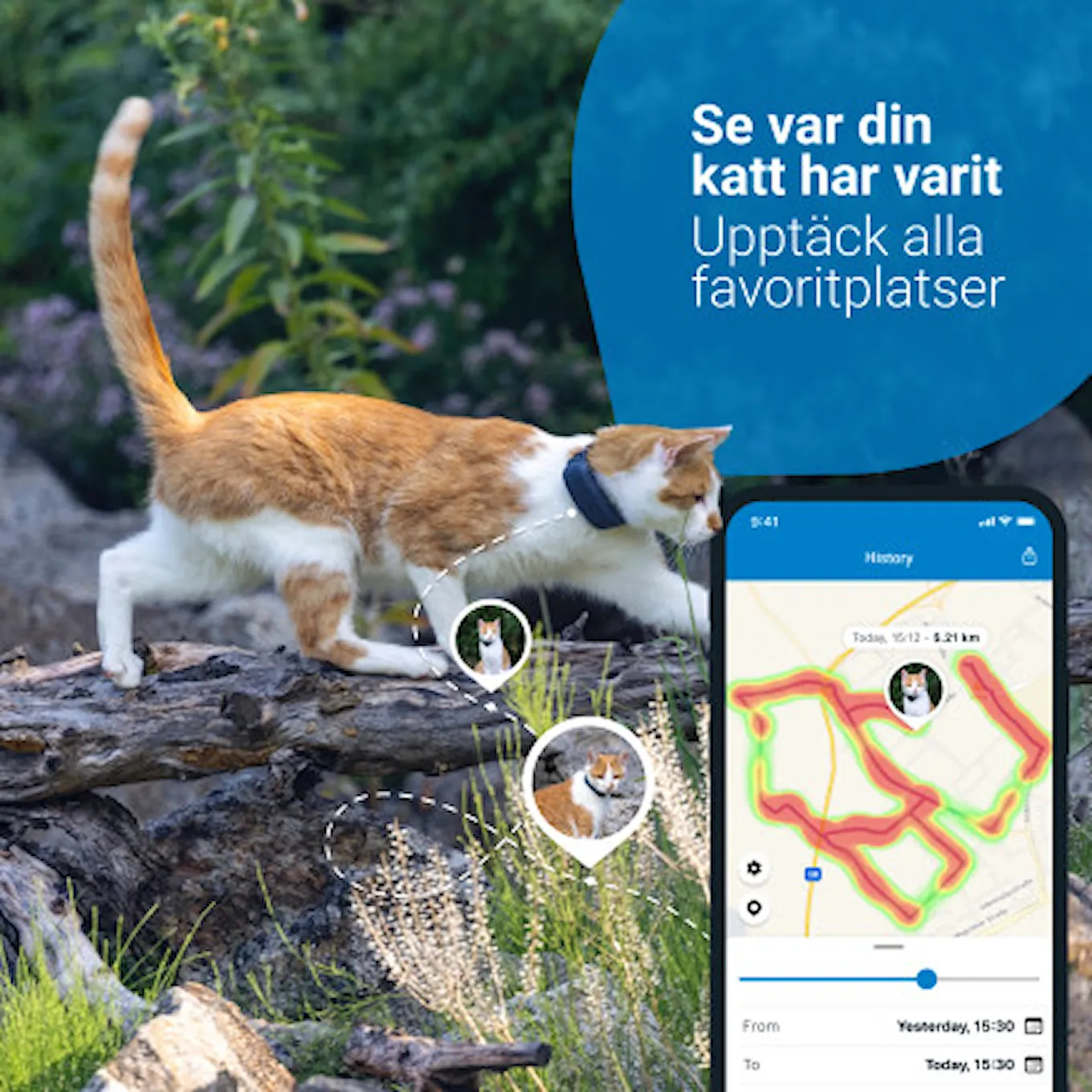 GPS & Activity Tracker för katter 3.jpg
