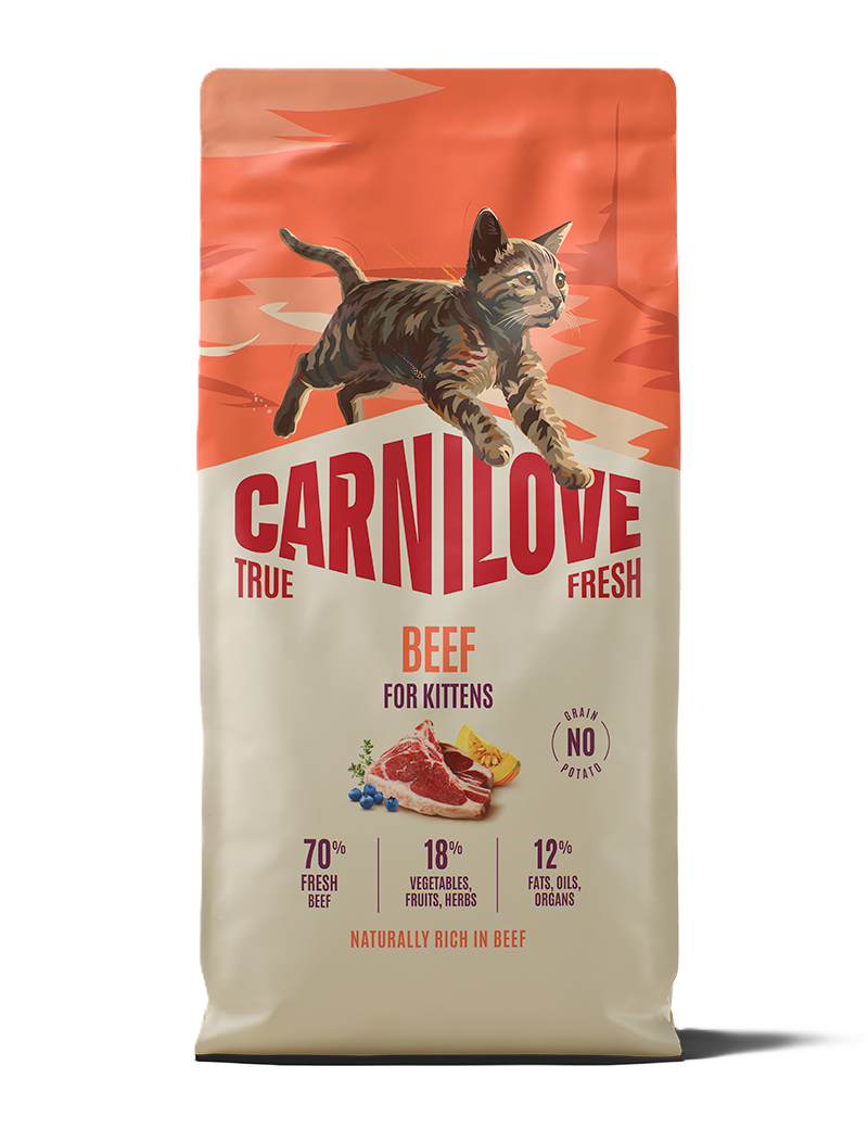 Carnilove True Fresh Cat Beef for Kittens 6kg