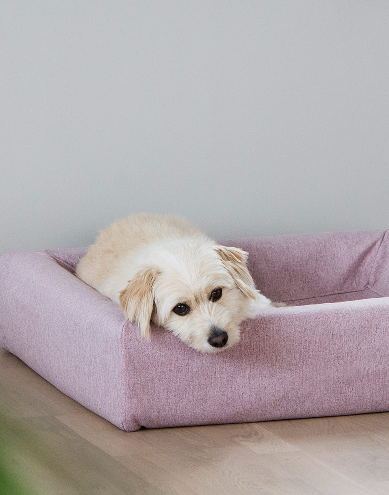 4284, 4285, 4286, 4287, 4307 4308 (3).jpg