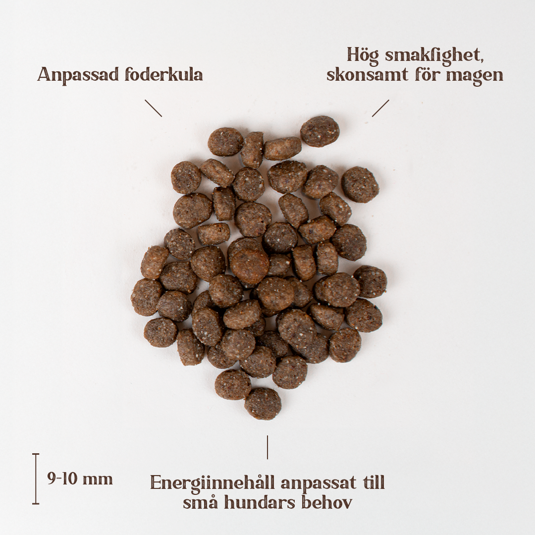 White fish small breed.png