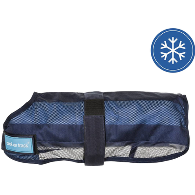Back on Track - Cool On Track Kyltäcke Blue 40 cm - Hund - Hund - ZOO.se