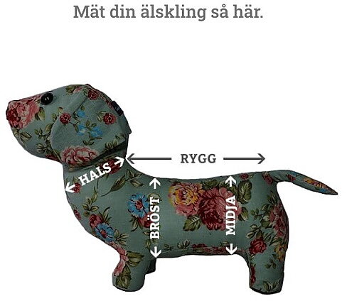HUND mätning.jpg