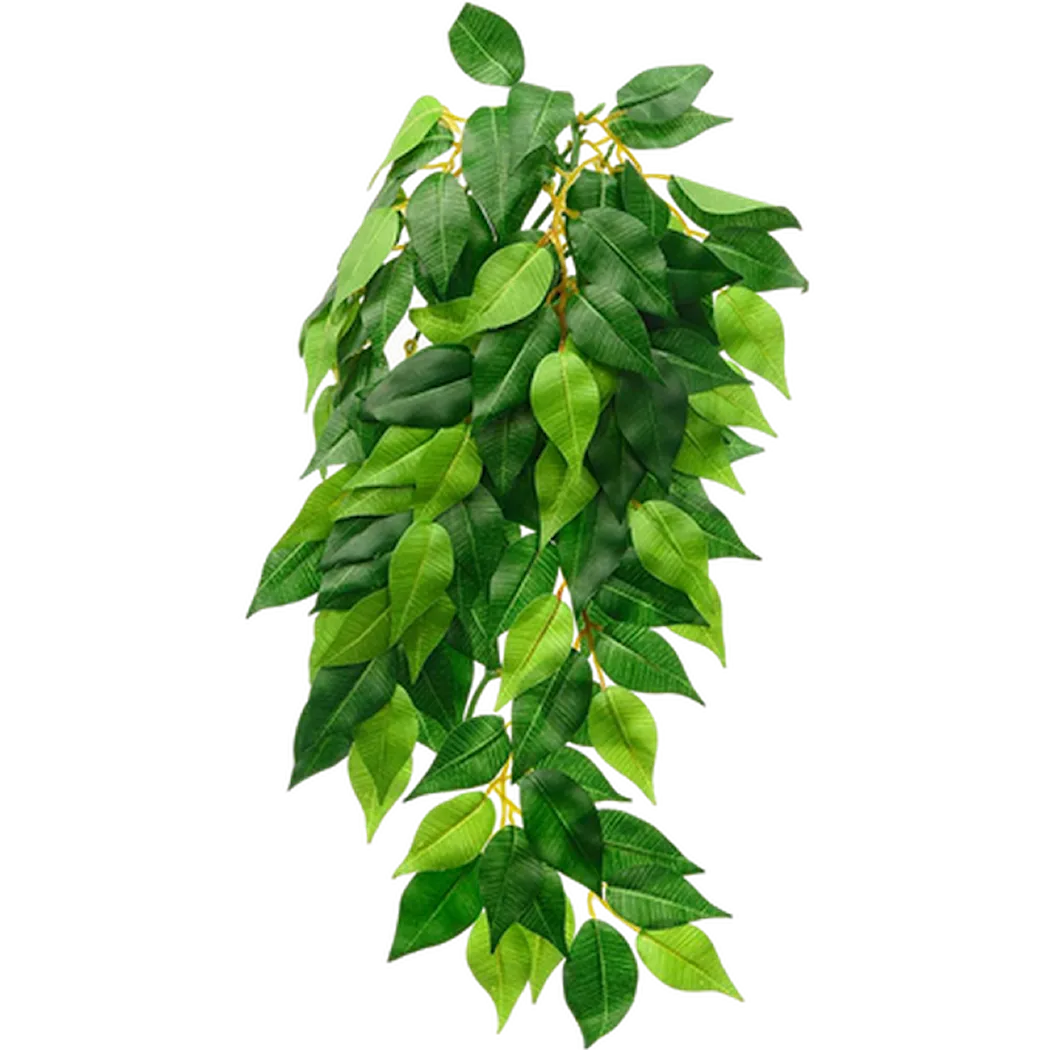 Exoterra Ficus (Silk) - Hanging Rainforest/Jungle Plants