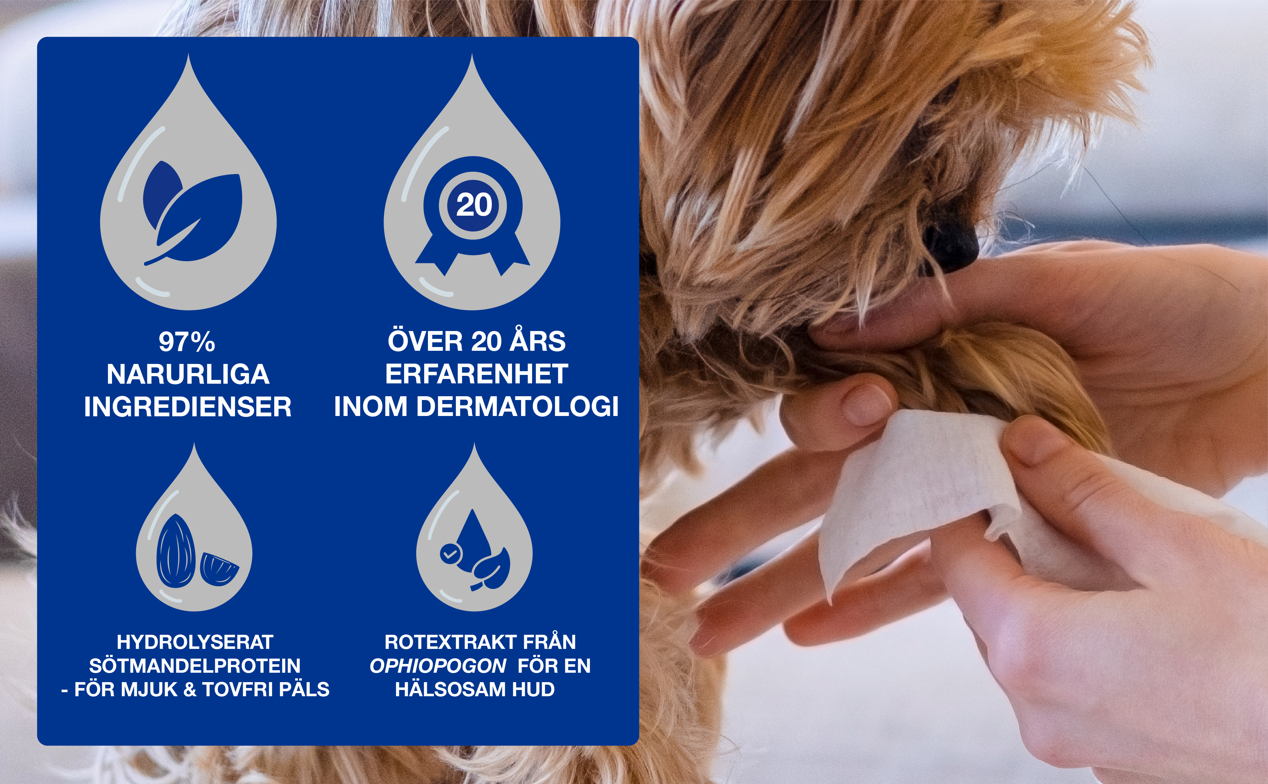 Multipurpose-våtservetter-3411113154295-SE_BTF_Ba