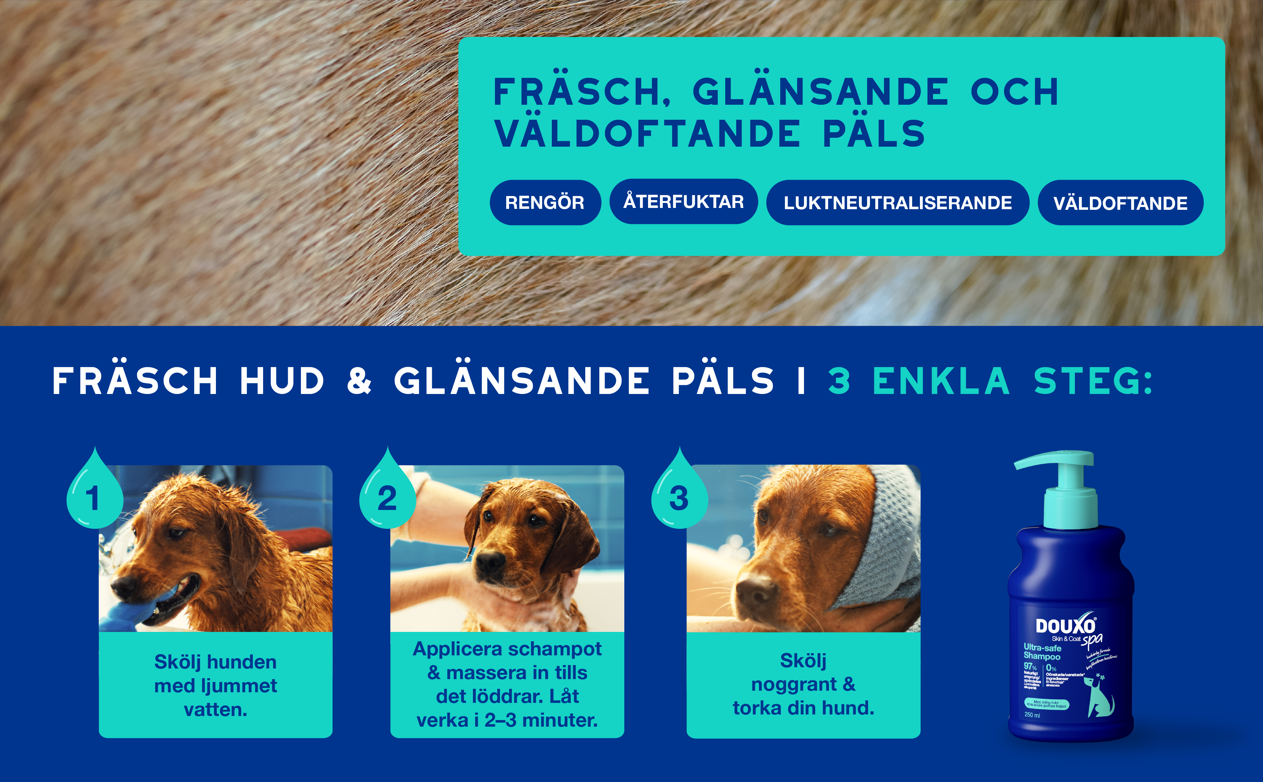 Odor-control-schampo-3411113154189-SE_BTF_Banner 4