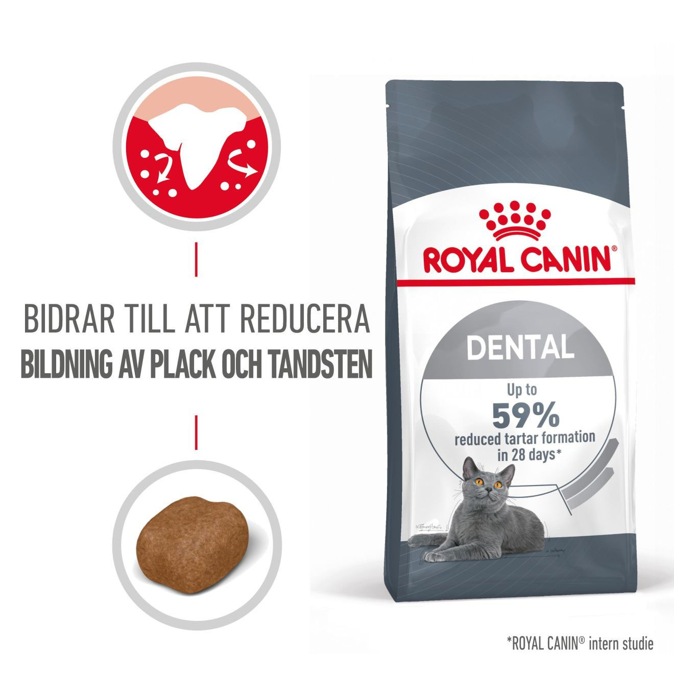 Royal Canin Oral Care Adult kissan kuivaruoka