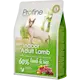 Profine Cat Dry Food Indoor Adult Lamb & Rice
