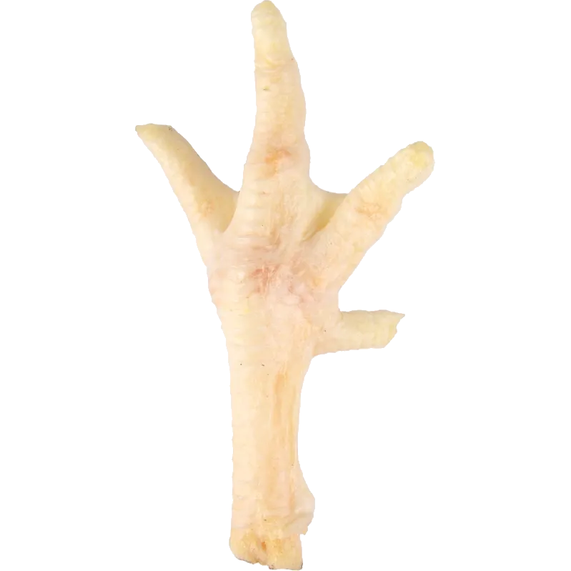 flamingo_dog_snacks-nature-chicken-foot_white_002.
