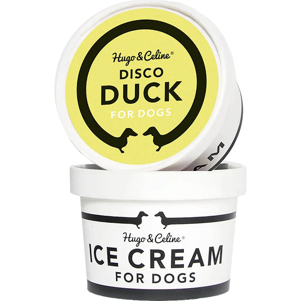 Hugo and Celine Ice Cream Disco Duck