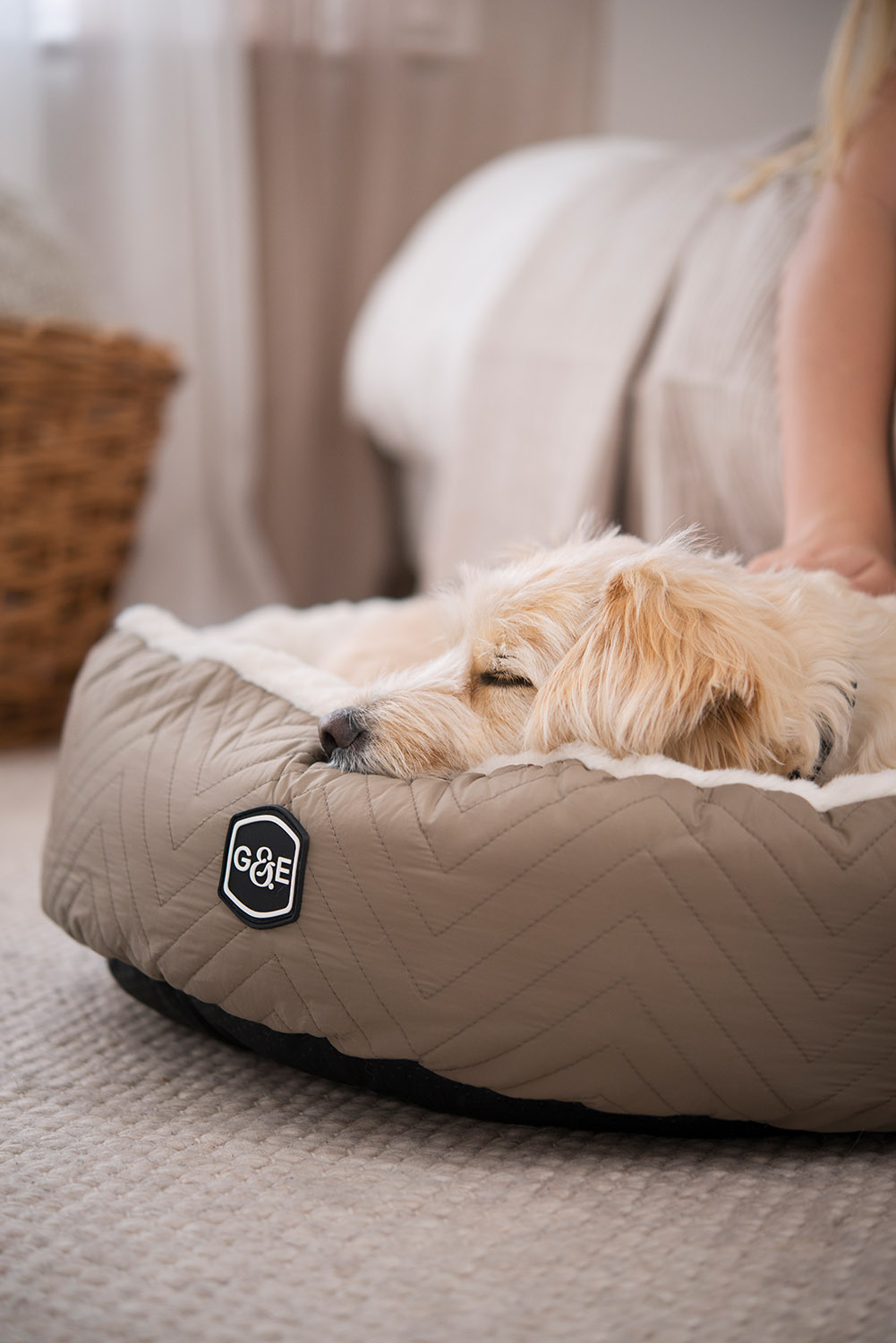 300011003, 300011004, 300011005.jpg