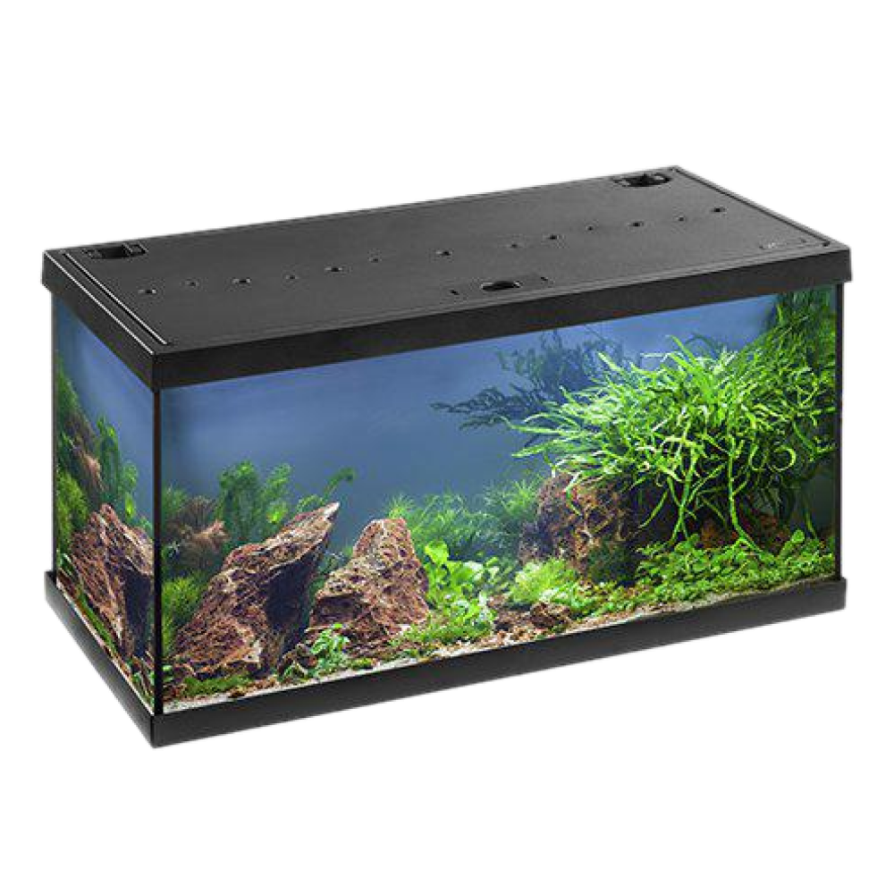 Eheim Aquastar LED Komplett 54 L - Svart, 60 x 30 x 30 cm