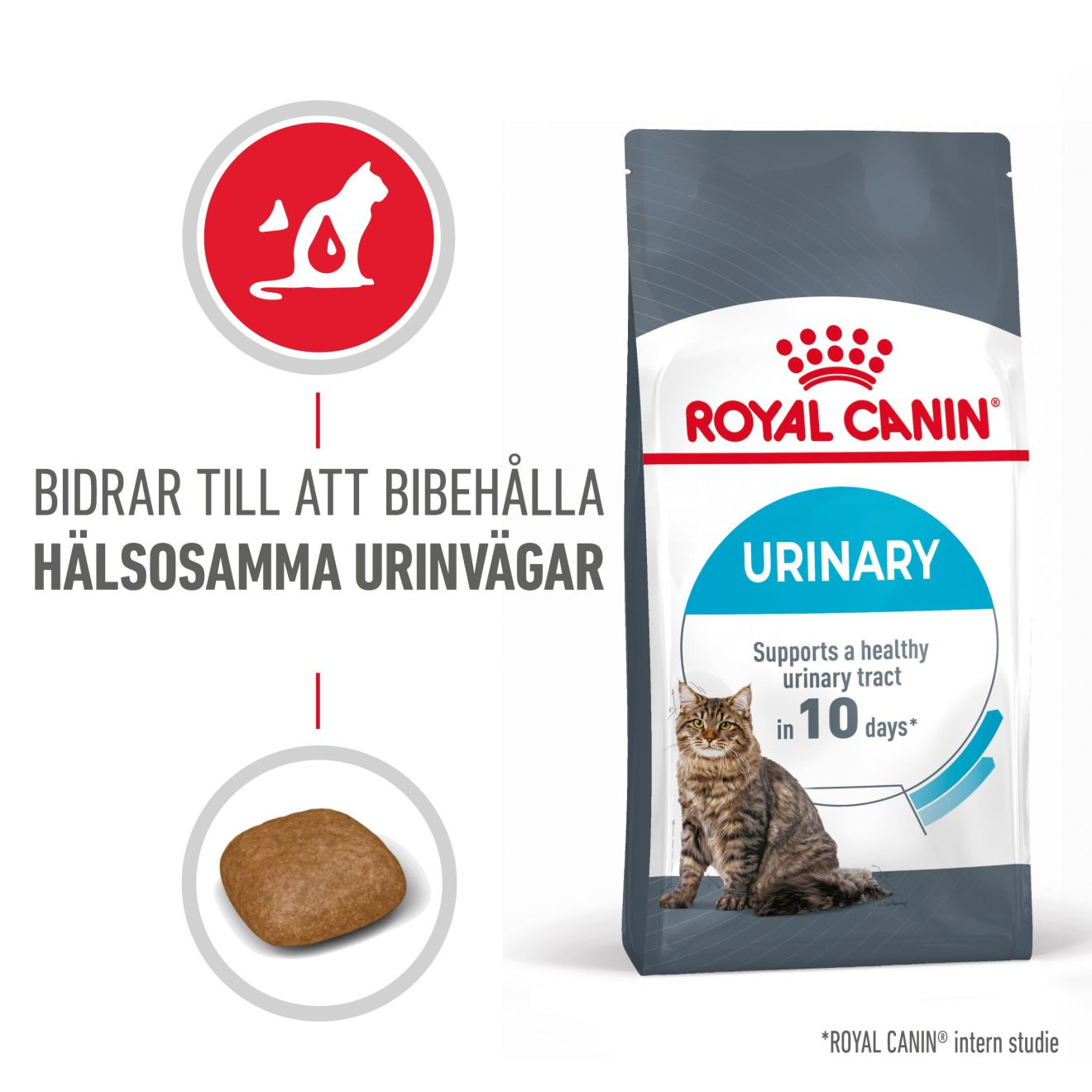 Urinary Care Adult Torrfoder för katt 4 kg