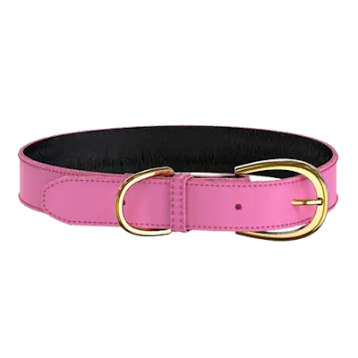 Colorful Collar Pink