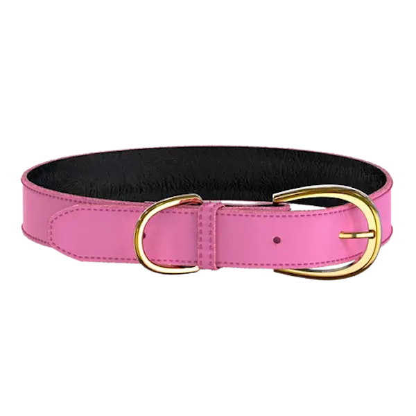 Colorful Collar Pink