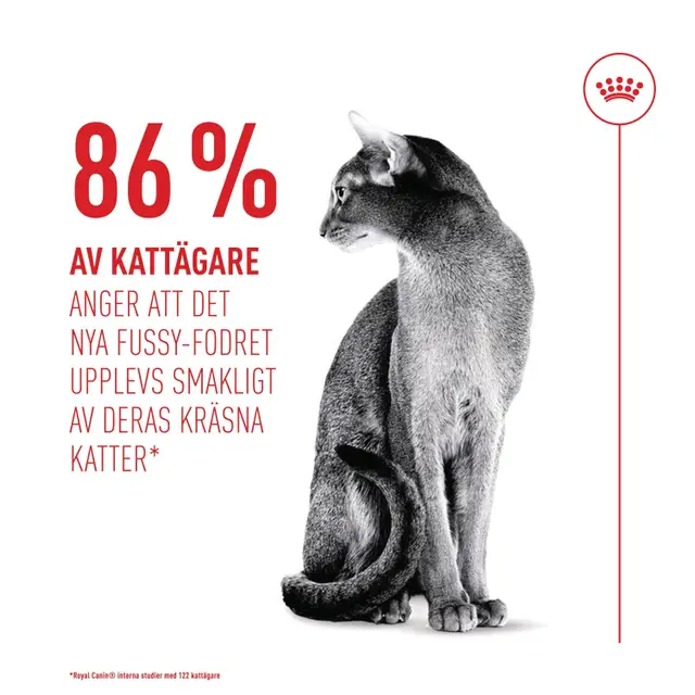 e80ff9f6-78d5-4add-9014-b31400cb90c3_DownloadAs.Jp