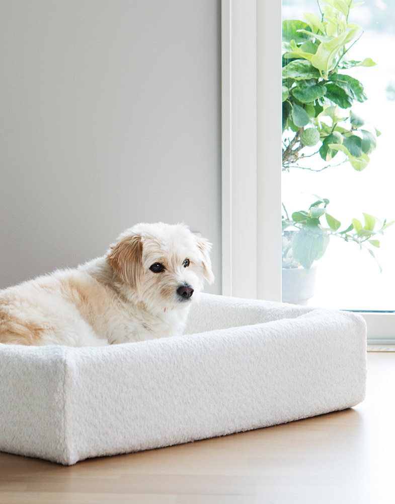 4326, 4327, 4328, 4329, 4330 (8).jpg