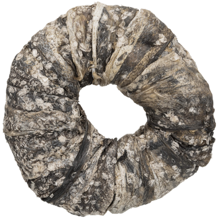 Trixie - Denta Fun Chewing Ring Fish, (Lösvikt) Gray 10 cm - Hund - Hundgodis - ZOO.se