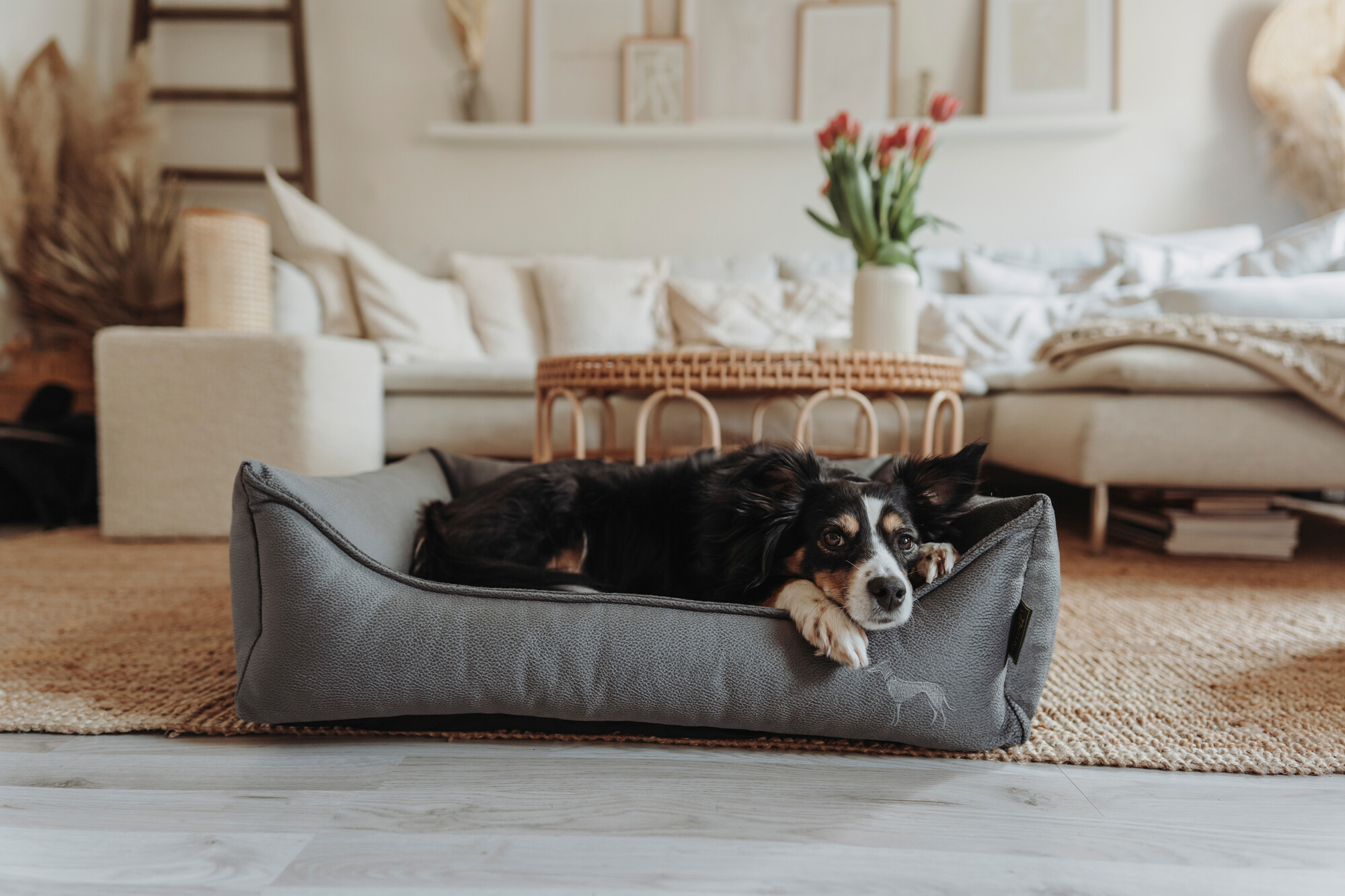 Hunter Sofa Orthopedic Merida miljöbild svart hund