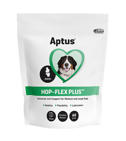 Aptus - Hop-Flex Plus 480 g 60 bitar - Hund - Hundvård & Tillskott - Kosttillskott för hund & Hundvitaminer - ZOO.se
