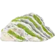 Kipouss Kaksivärinen kivi, jossa on eläviä kasvien siemeniä