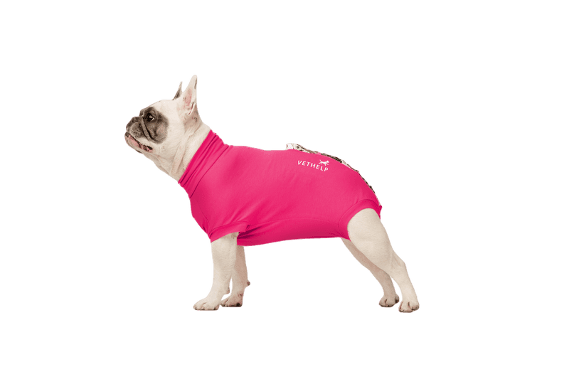 VetHelp - Recovery Suit Pink Tik/Katt Nr D6 - Hund - Hundvård & Tillskott - ZOO.se