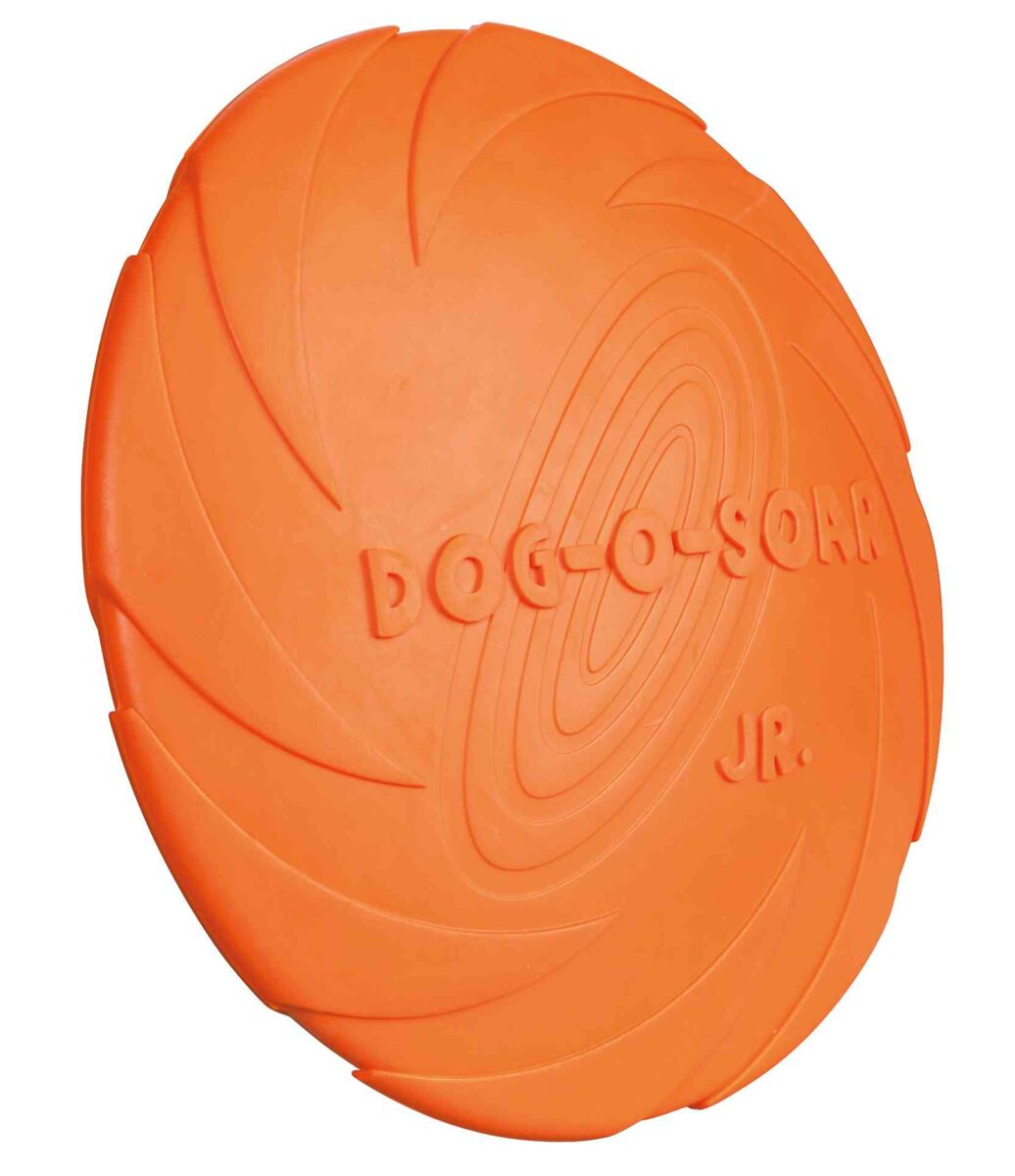 dog-disc-3.jpg