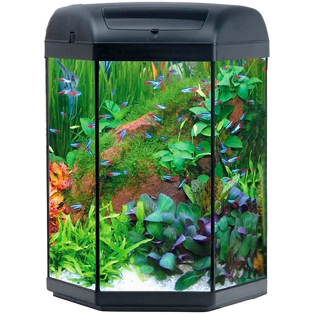 AQUAEL Hexa-starterset LED Aquarium Black 60 L-Svart