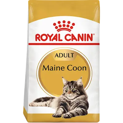 Feline Breed Maine Coon 4 kg