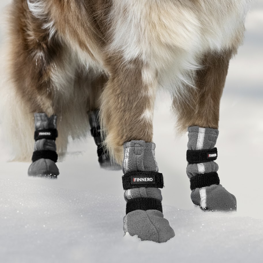 Harmaat_Tossut_Taustalla2 (1).jpg