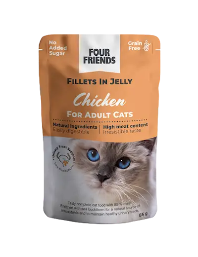 Cat Adult Chicken in Jelly Pouch