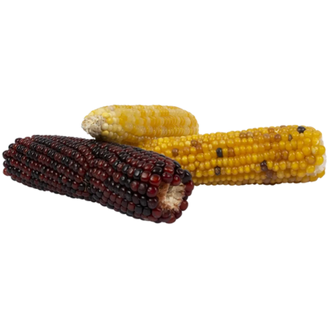 Snack Time Mini Corn Cob Mix 8 st