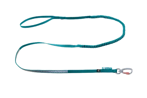 Touring bungee -talutushihna Teal